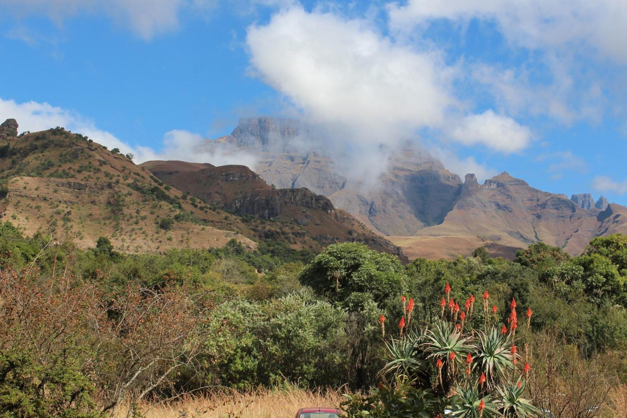 The Nest Drakensberg Mountain Resort Hotel Champagne Valley Εξωτερικό φωτογραφία